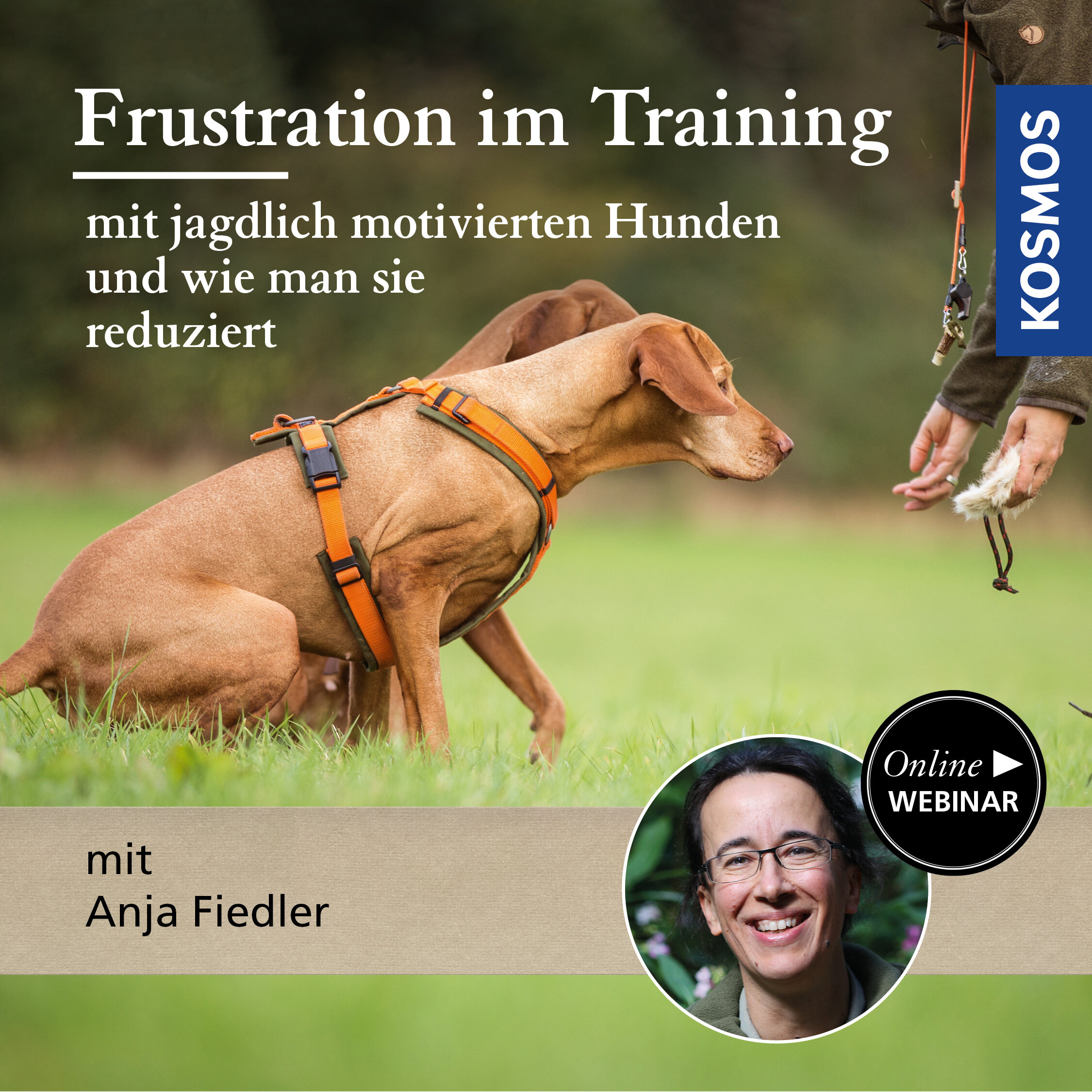 Frustration im Training mit jagdlich motivierten Hunden und wie man sie reduziert