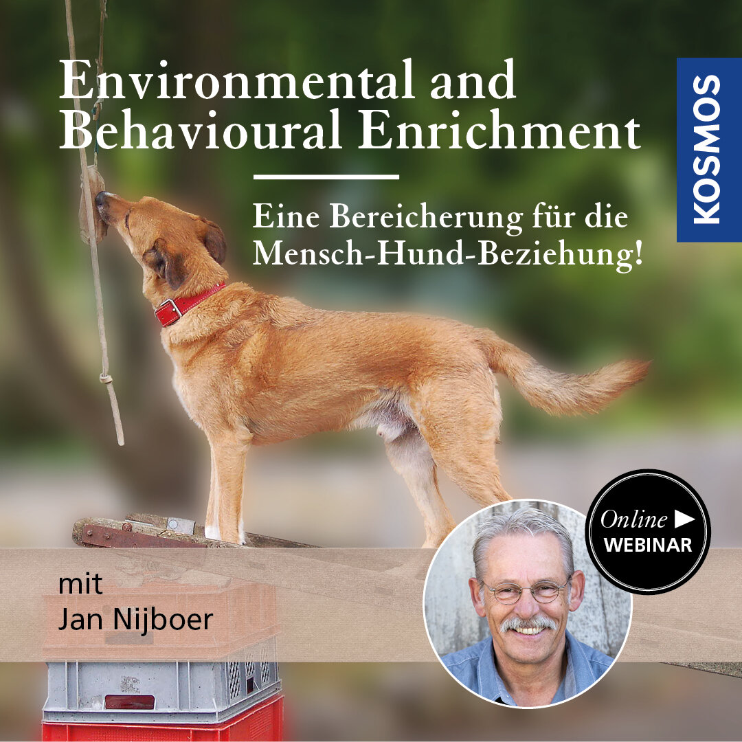 Environmental and Behavioural Enrichment –Eine Bereicherung für die Mensch-Hund-Beziehung!