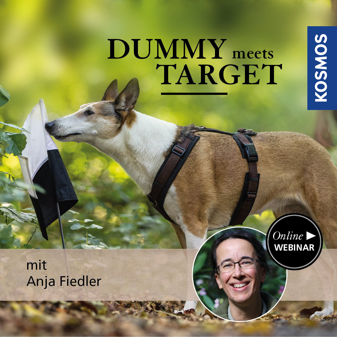 Dummy meets Target