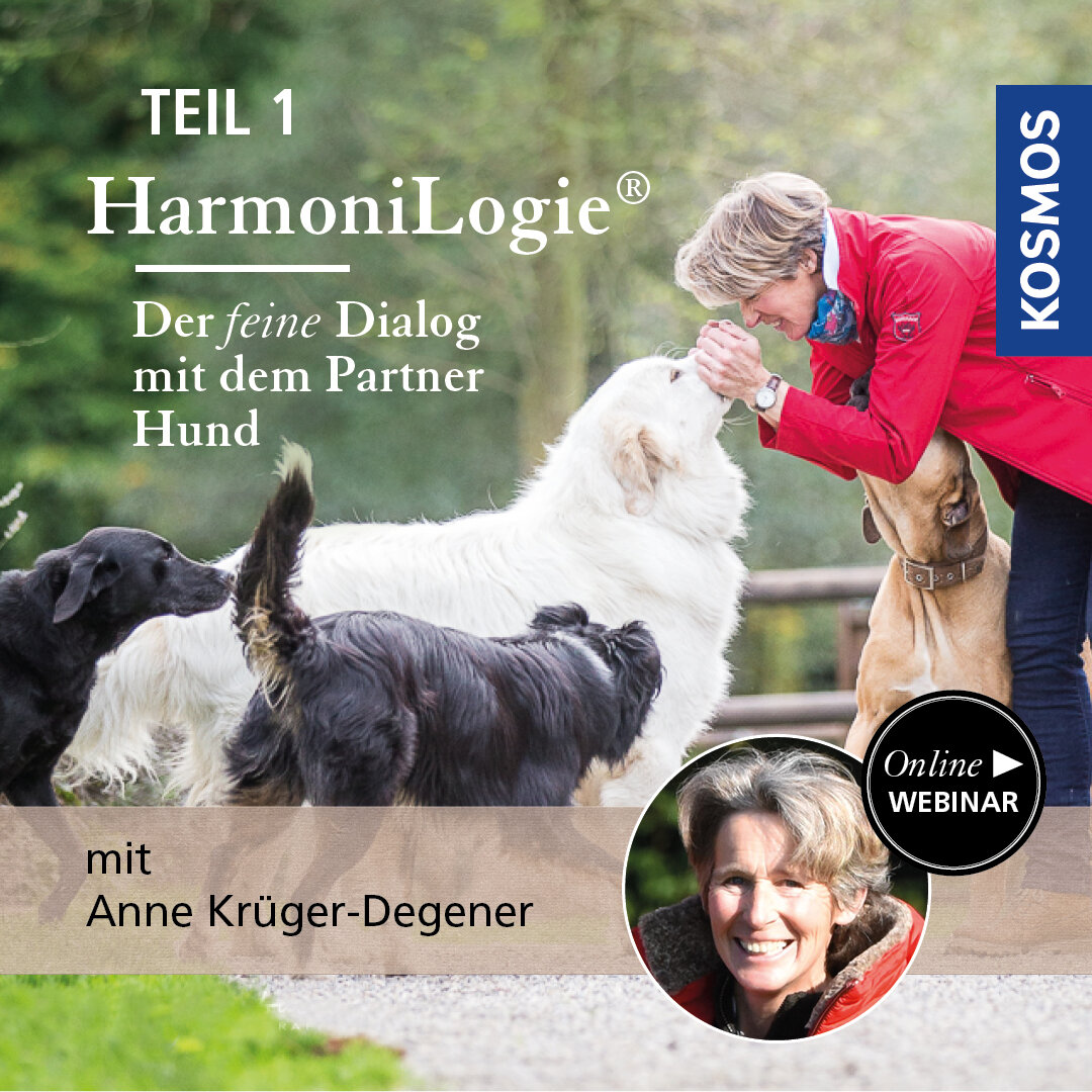 HarmoniLogie® TEIL 1 - Der feine Dialog mit dem Partner Hund