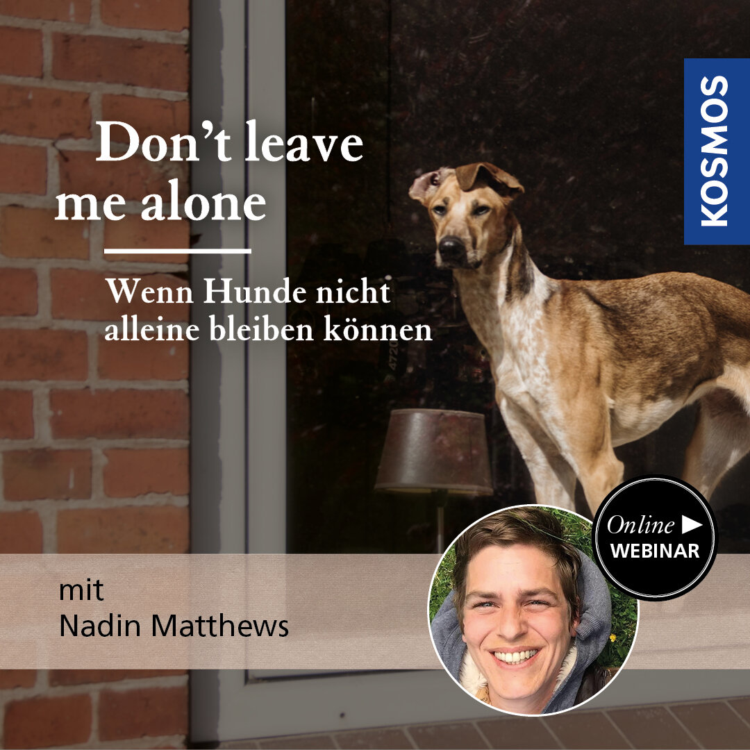 Don`t leave me alone – wenn Hunde nicht allein bleiben können