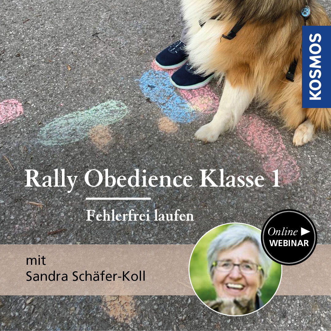 Rally Obedience Klasse 1 - Fehlerfrei laufen