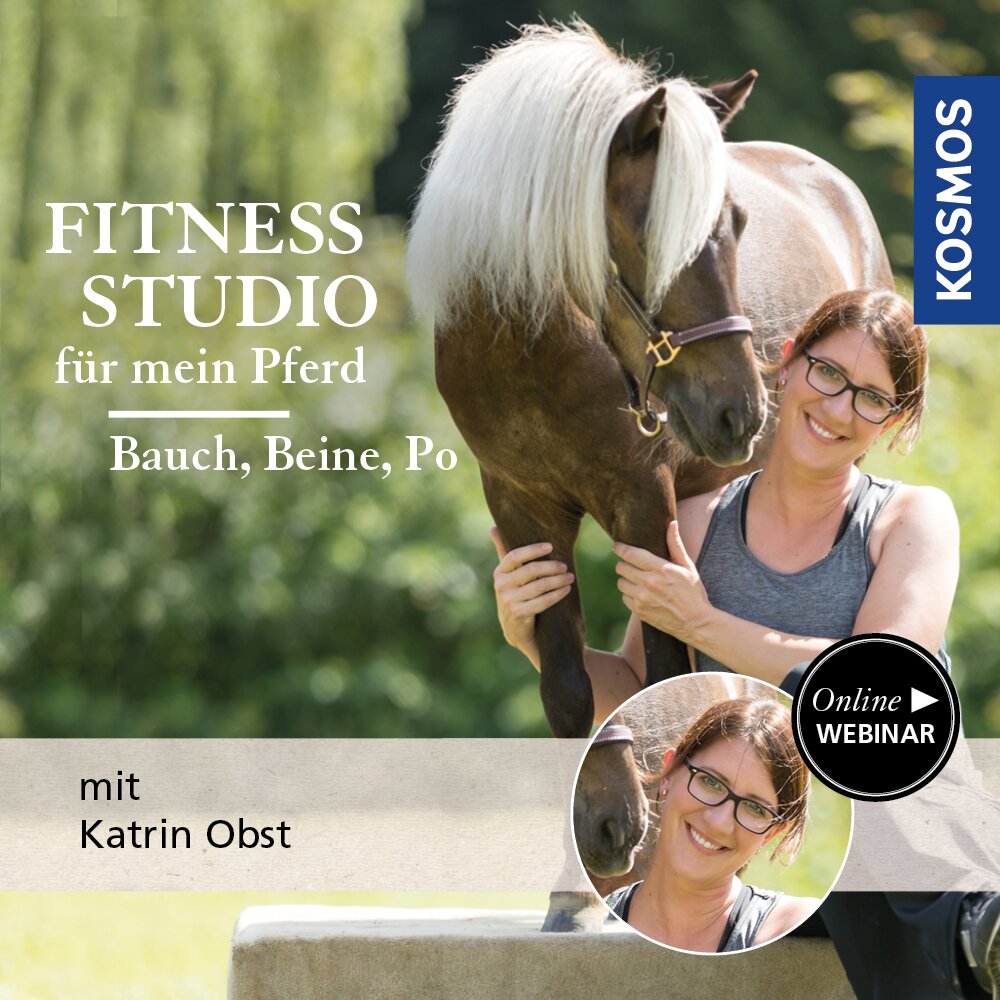 Fitnessstudio für mein Pferd: Bauch  Beine  Po