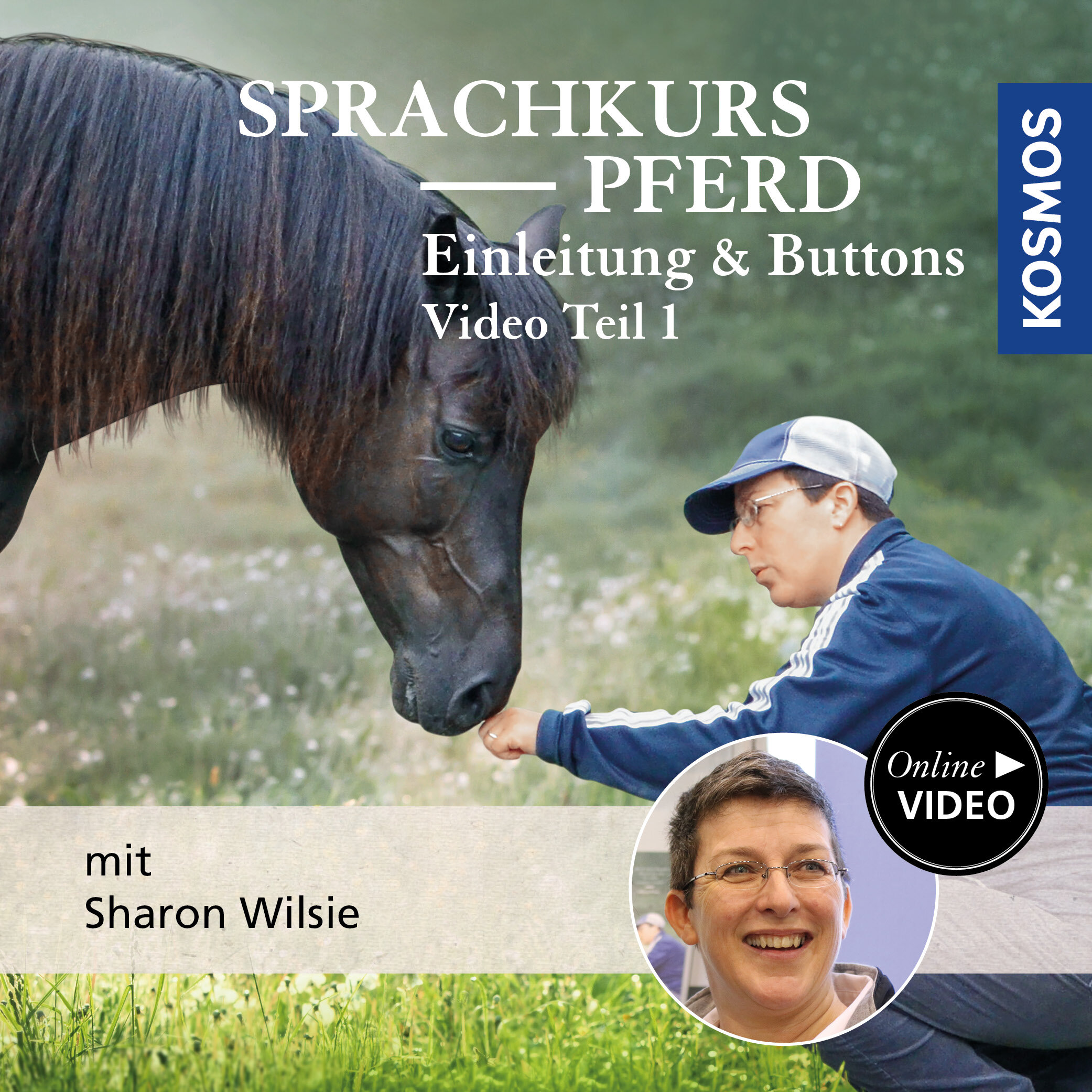 Sprachkurs Pferd – Einleitung & Buttons Teil 1