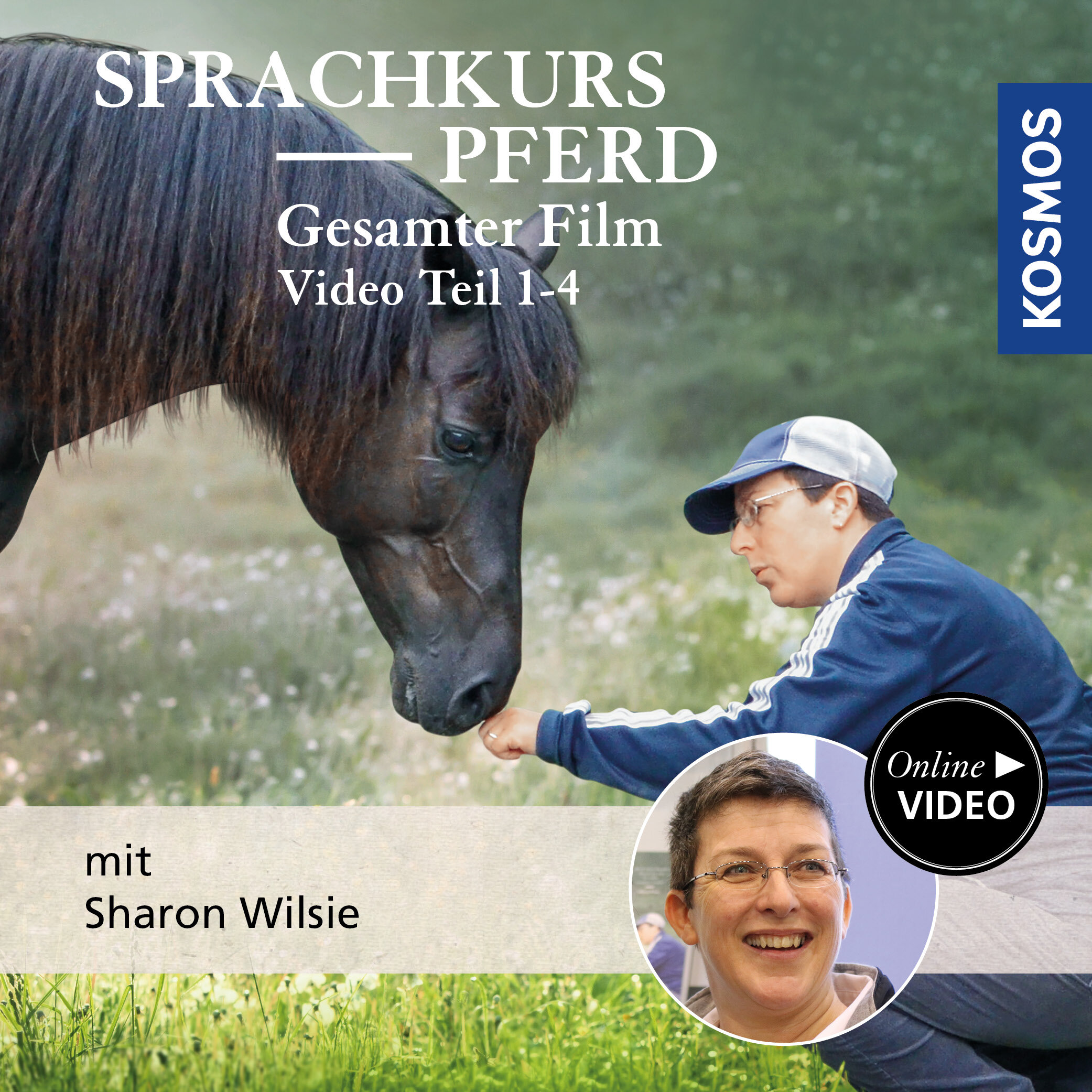 Sprachkurs Pferd – Gesamter Film  Teil 1–4