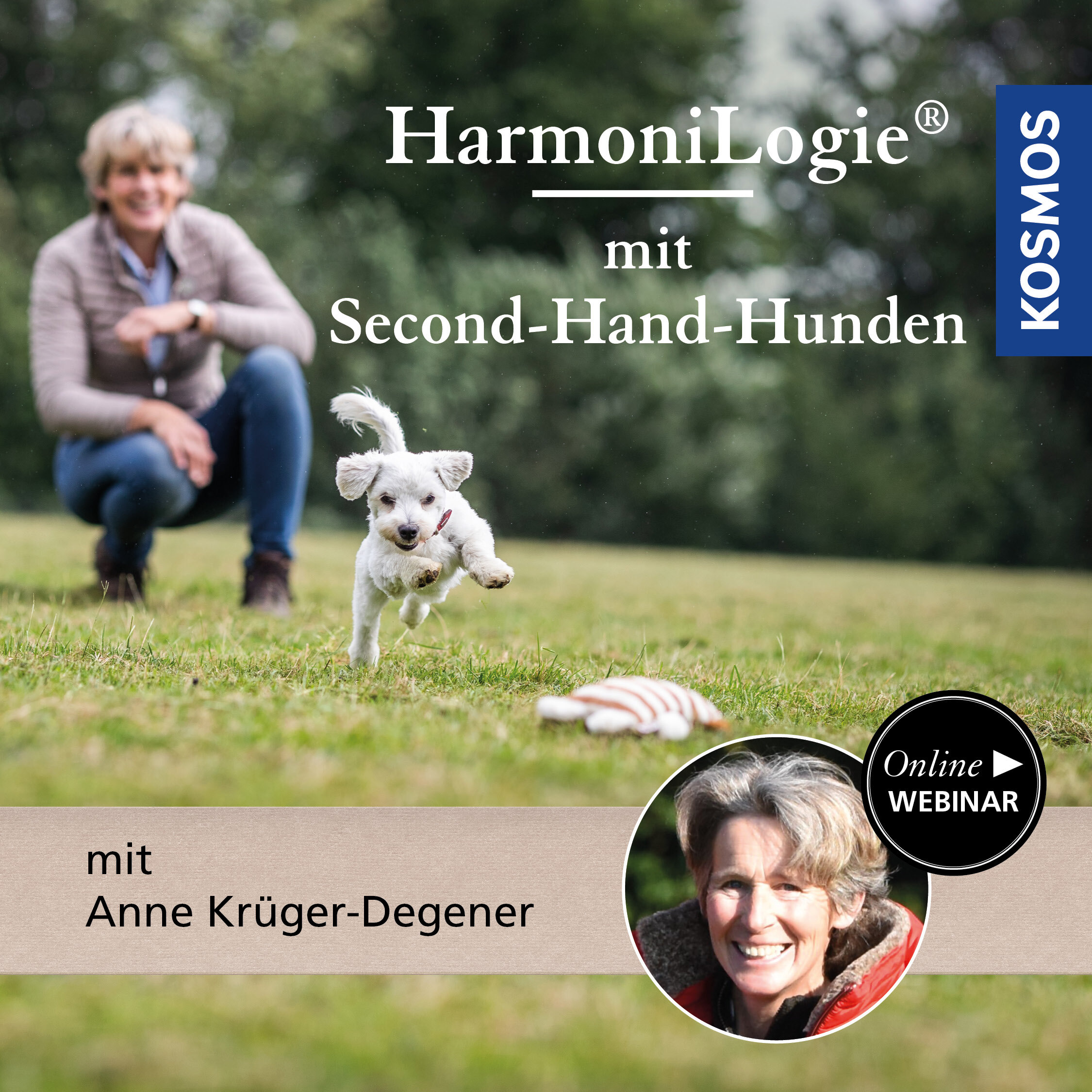 HarmoniLogie mit Second-Hand-Hunden