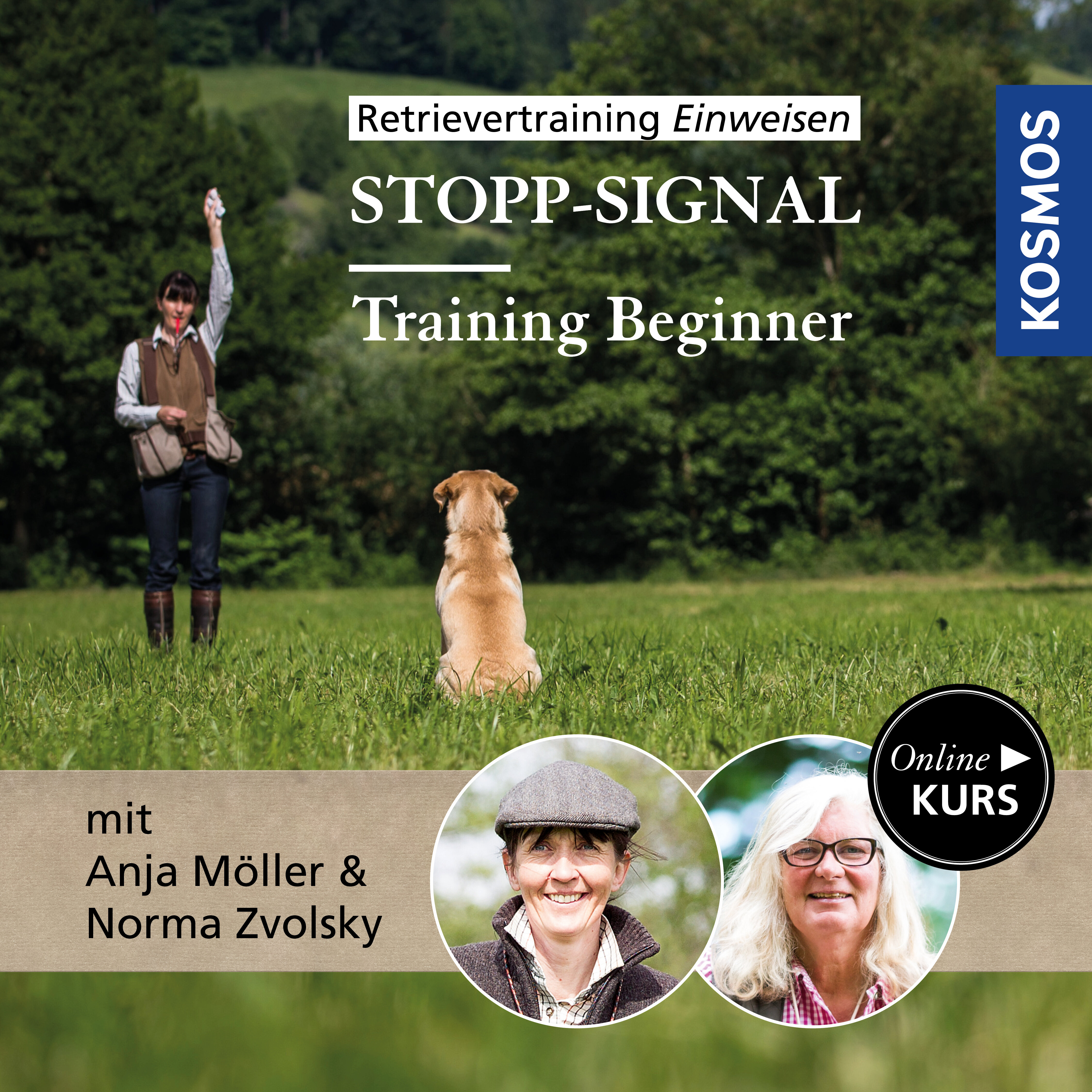Retrievertraining Einweisen – Training Beginner Stopp-Signal
