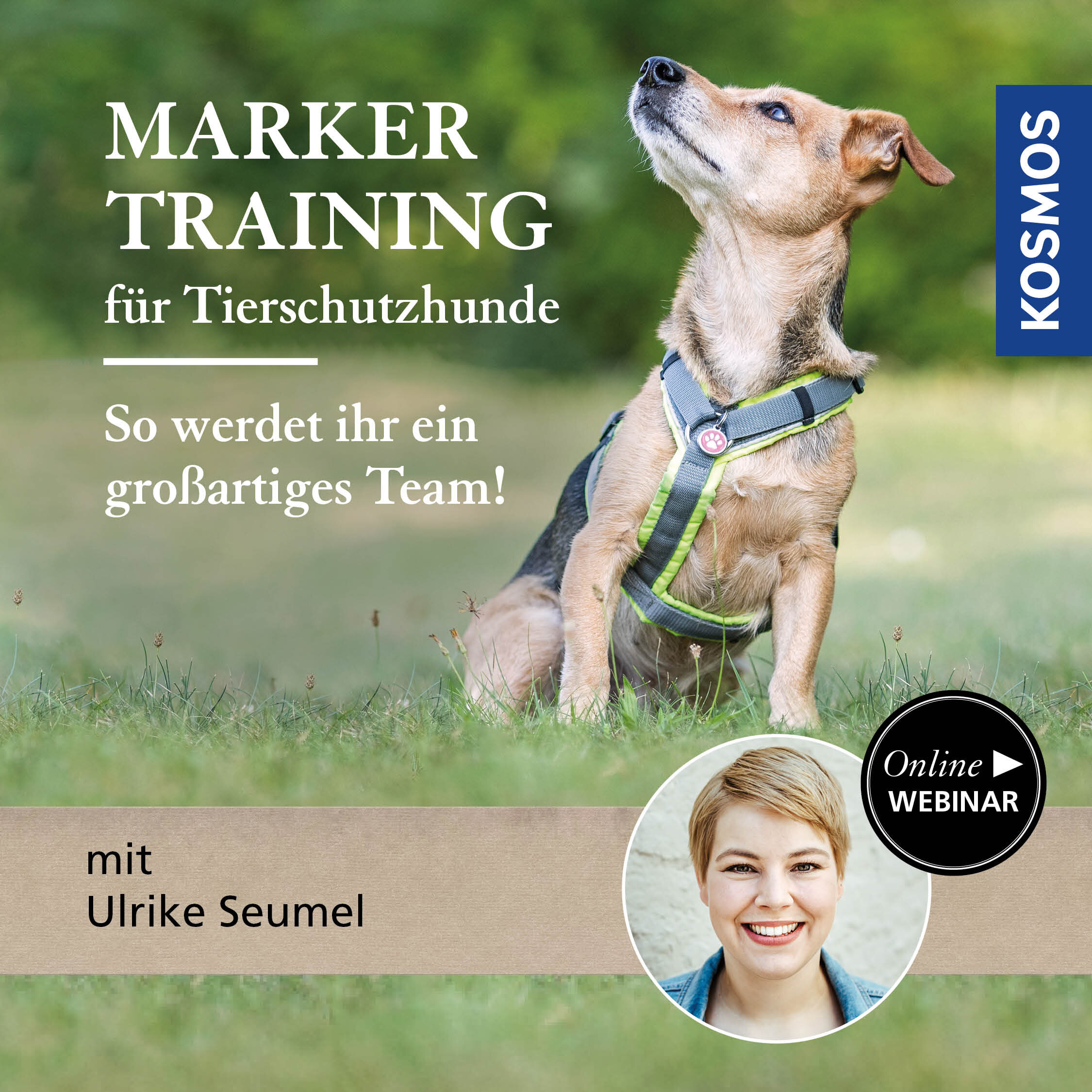 Markertraining für Tierschutzhunde – So werdet ihr ein großartiges Team!