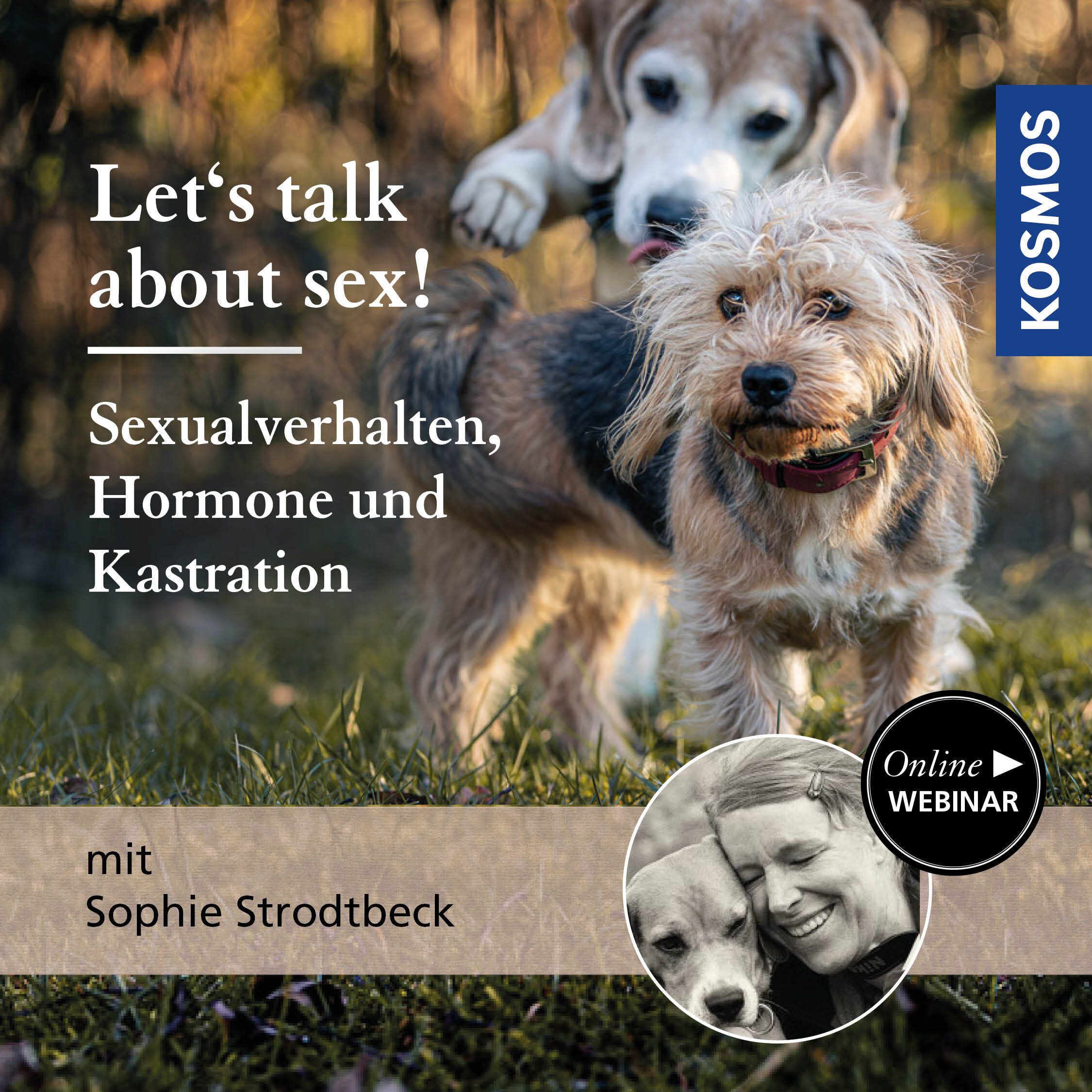 Let’s talk about sex! Sexualverhalten  Hormone und Kastration bei Hunden