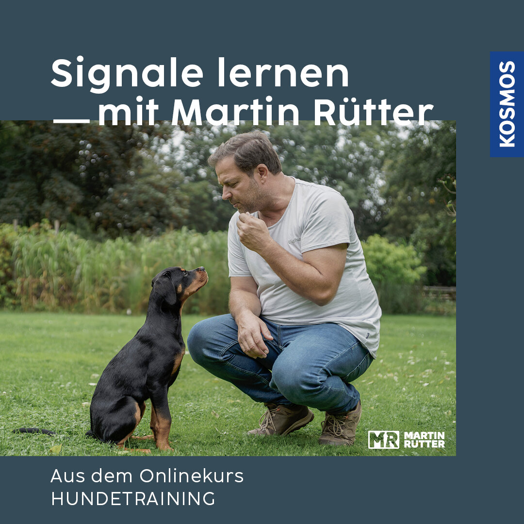 Signale lernen mit Martin Rütter