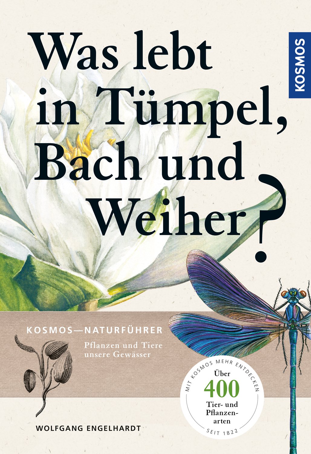 Was lebt in Tümpel  Bach und Weiher?