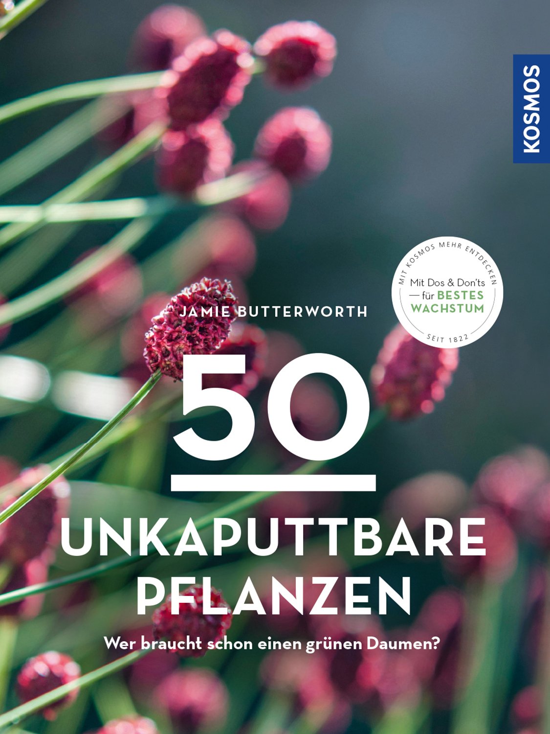 50 unkaputtbare Pflanzen