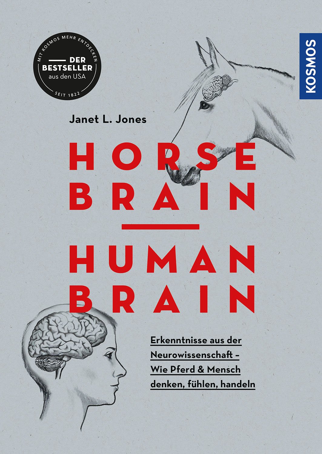 Horse Brain  Human Brain