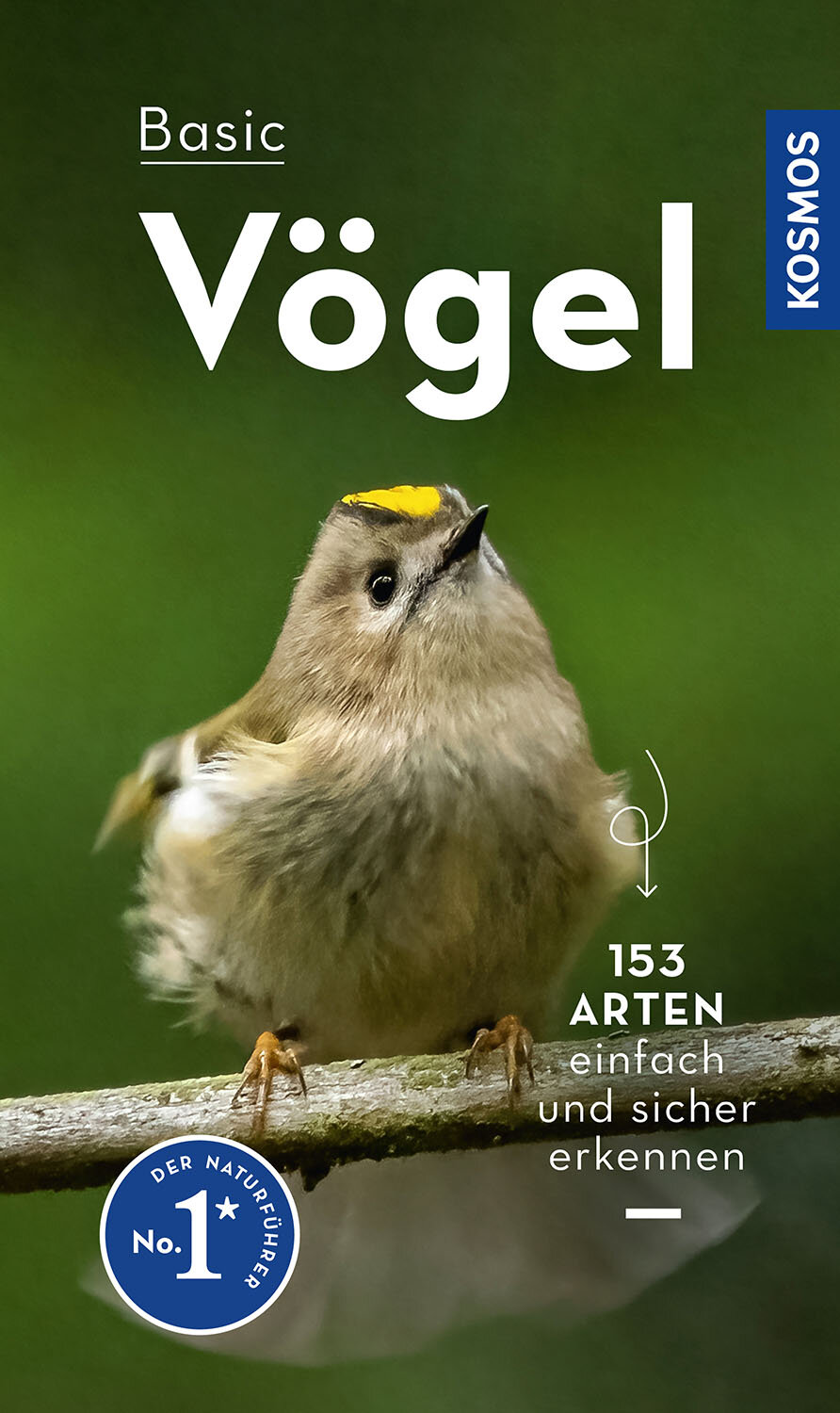 BASIC Vögel