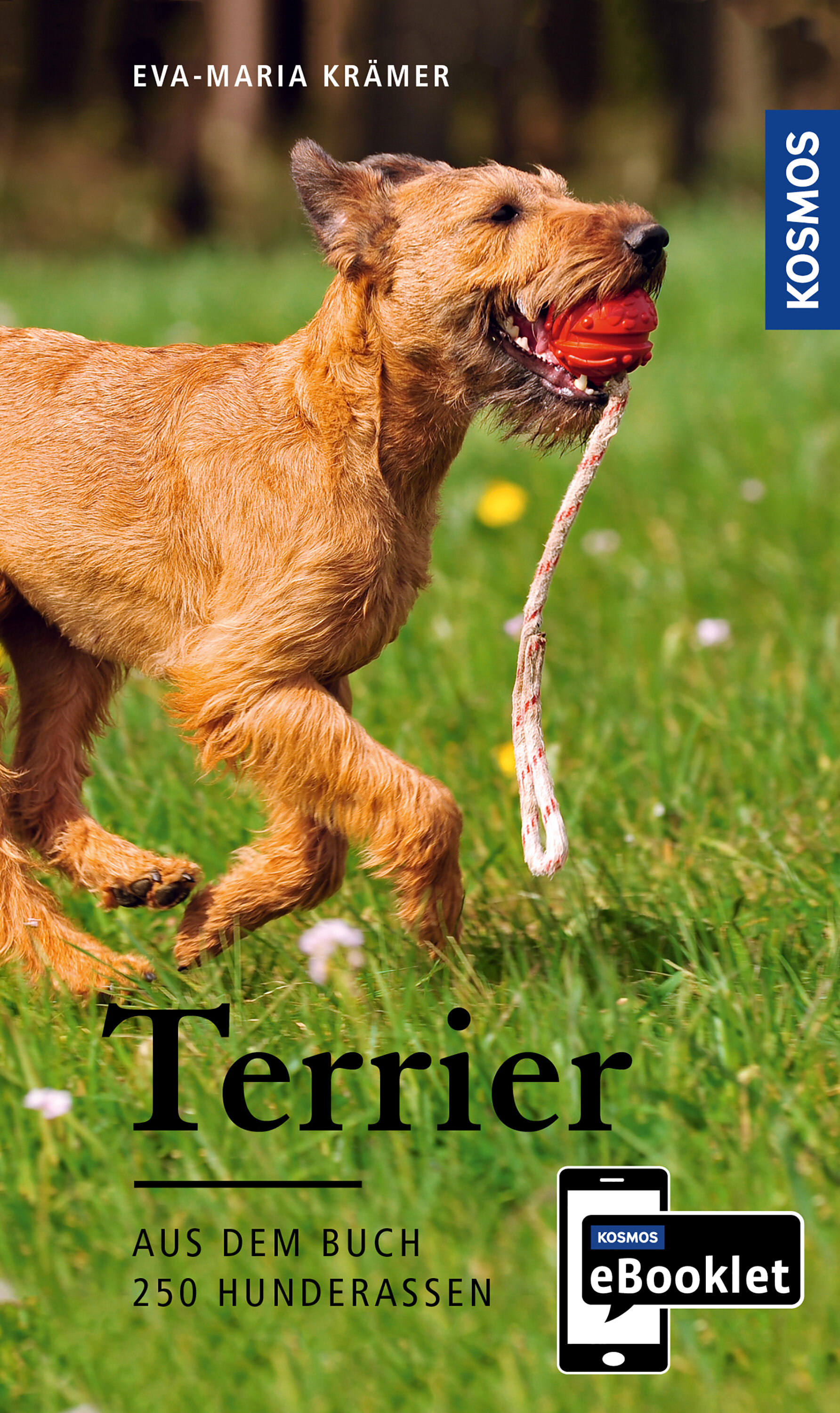 KOSMOS eBooklet: Terrier - Ursprung  Wesen  Haltung