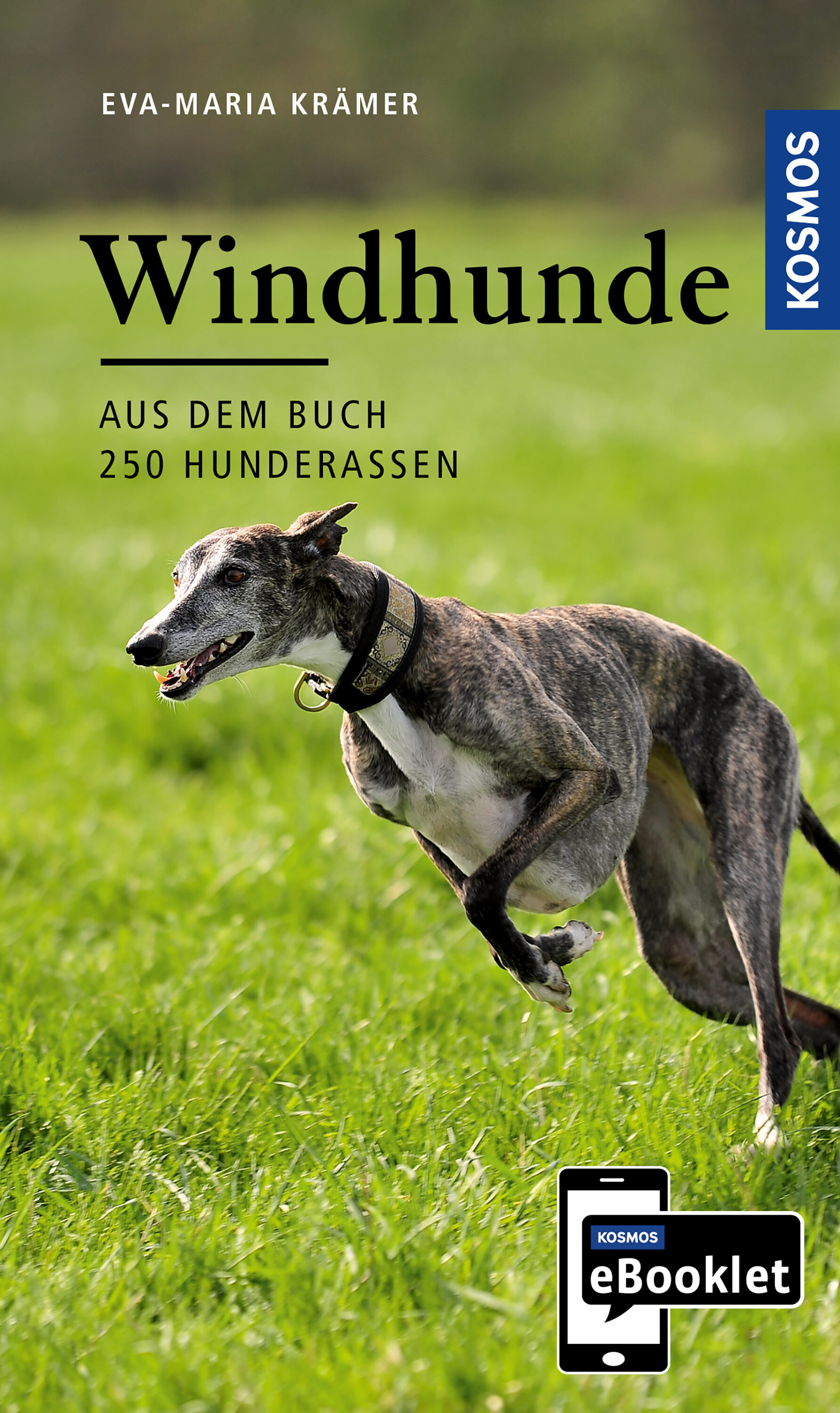 KOSMOS eBooklet: Windhunde - Ursprung  Wesen  Haltung
