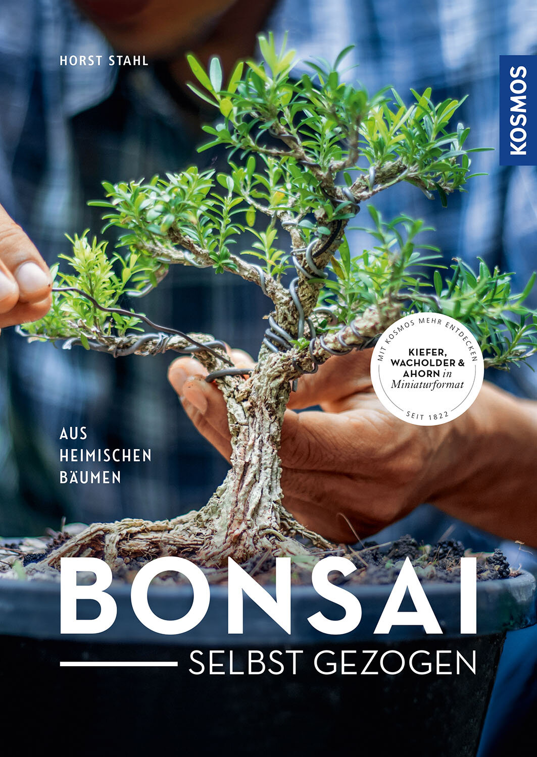 Bonsai selbst gezogen