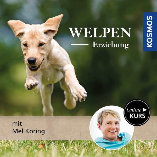 Welpen-Erziehung – Onlinekurs mit Hundetrainerin Mel Koring